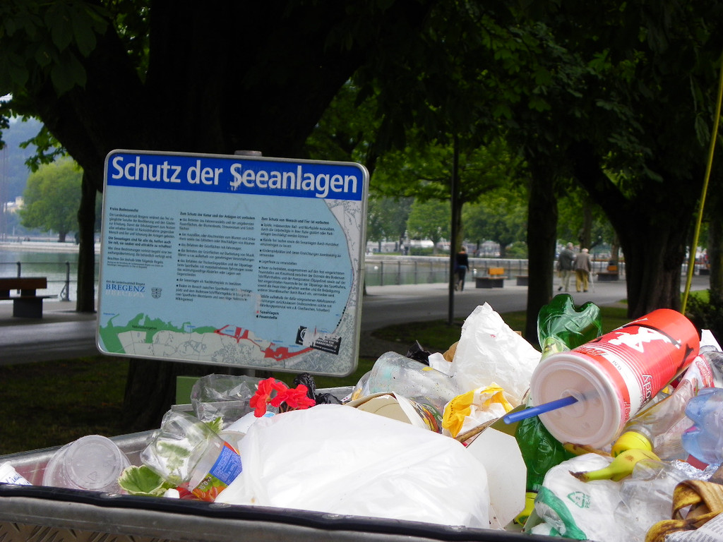 115_5910_JPG-1352157309