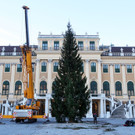 XM12_Baum__c_www_weihnachtsmarkt_co_at_Foto_G_Fally.JPG