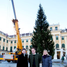 XM12_Baum_Gabriela Schmidle_Peter Lepkowicz_Barbara Gobl__c_www_weihnachtsmarkt_co_at_Foto_G_Fally.JPG