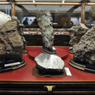 ABD0021-20121106.jpg