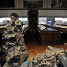 ABD0027-20121106.jpg