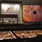 ABD0028-20121106.jpg