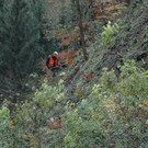 DSC_7278_JPG-1352211324
