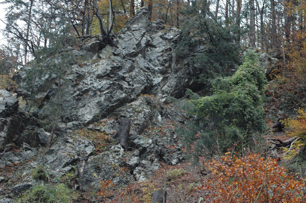 DSC_7289_JPG-1352211517