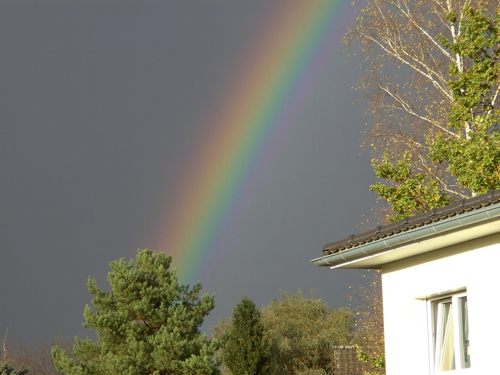BILD3725.JPG