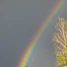 BILD3723.JPG