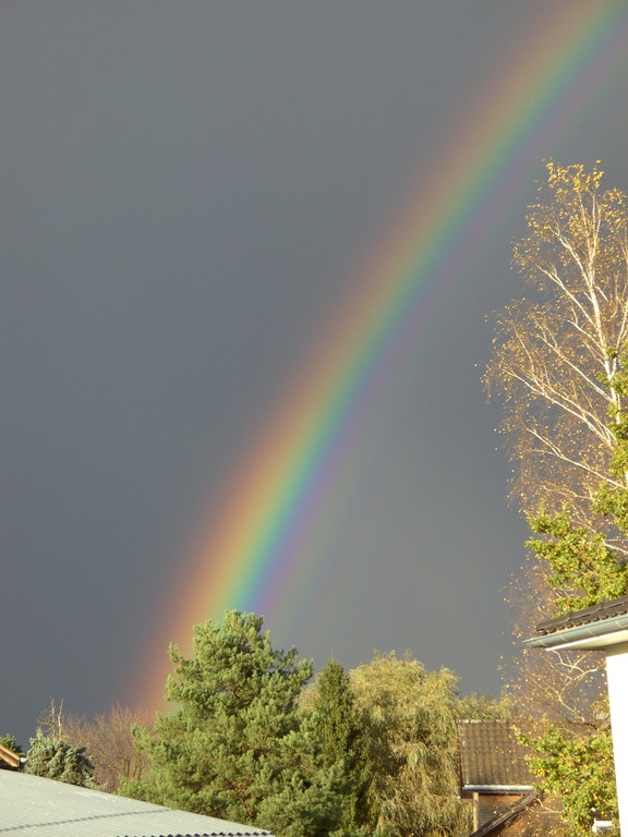 BILD3723.JPG