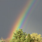BILD3722.JPG
