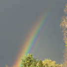 BILD3721.JPG
