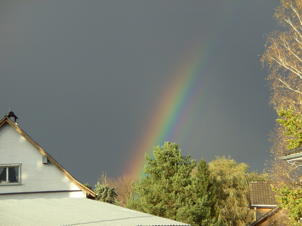 BILD3720.JPG