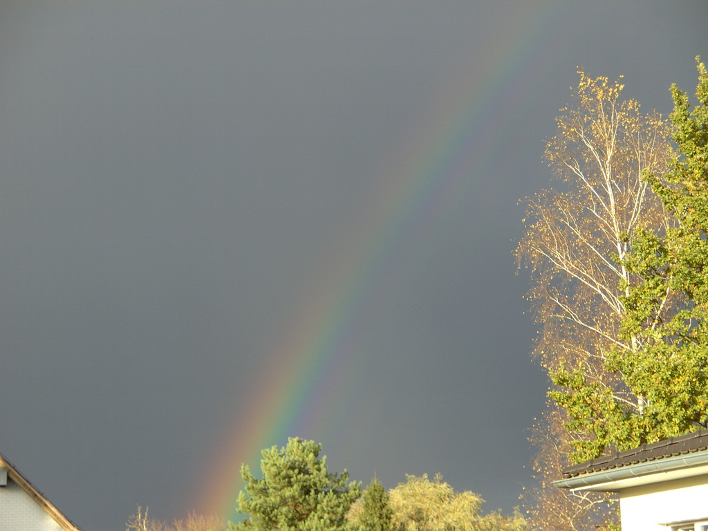 BILD3719.JPG