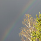 BILD3717.JPG