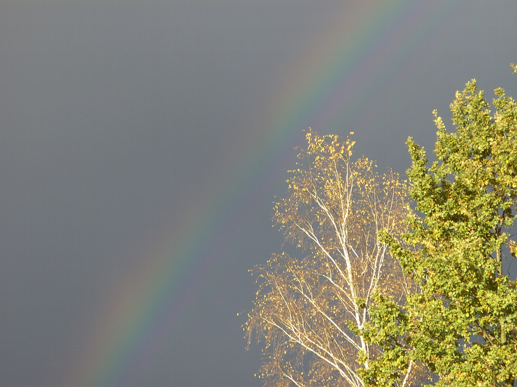 BILD3717.JPG