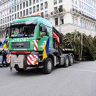 Weihnachtsbaum am Wiener Rathausplatz wurde am Mittwoch aufgestellt