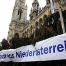 Weihnachtsbaum002.jpg