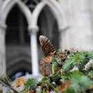 Weihnachtsbaum003.jpg