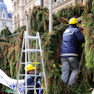 Weihnachtsbaum004.jpg
