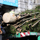 Weihnachtsbaum010.jpg