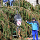 Weihnachtsbaum012.jpg