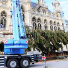 Weihnachtsbaum017.jpg