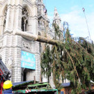 Weihnachtsbaum018.jpg