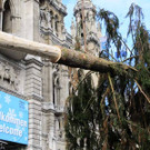 Weihnachtsbaum019.jpg