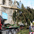 Weihnachtsbaum020.jpg