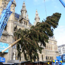 Weihnachtsbaum023.jpg