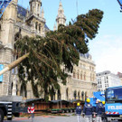Weihnachtsbaum024.jpg