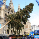 Weihnachtsbaum025.jpg