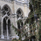Weihnachtsbaum029.jpg
