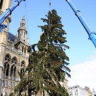 Weihnachtsbaum030.jpg