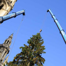 Weihnachtsbaum036.jpg