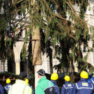 Weihnachtsbaum037.jpg