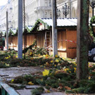 Weihnachtsbaum040.jpg