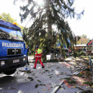 Weihnachtsbaum041.jpg