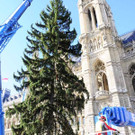 Weihnachtsbaum043.jpg