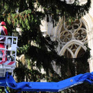 Weihnachtsbaum049.jpg