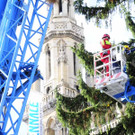 Weihnachtsbaum052.jpg
