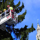 Weihnachtsbaum056.jpg