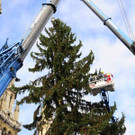 Weihnachtsbaum058.jpg