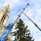 Weihnachtsbaum059.jpg