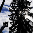 Weihnachtsbaum060.jpg