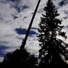 Weihnachtsbaum061.jpg