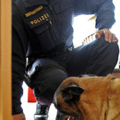 Drogenhunde trainierten am Wiener Donauturm