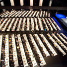 engel_446_001.jpg