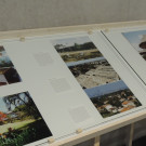 DSCN7048_JPG-1352411602