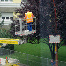        Austausch der Beleuchtungskörper   