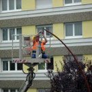 IMG_0904_JPG-1352415996