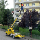 IMG_0905_JPG-1352416000